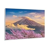 Amazon | 森を抜ける日差し 数字油絵 自然景観 数字キット塗り絵